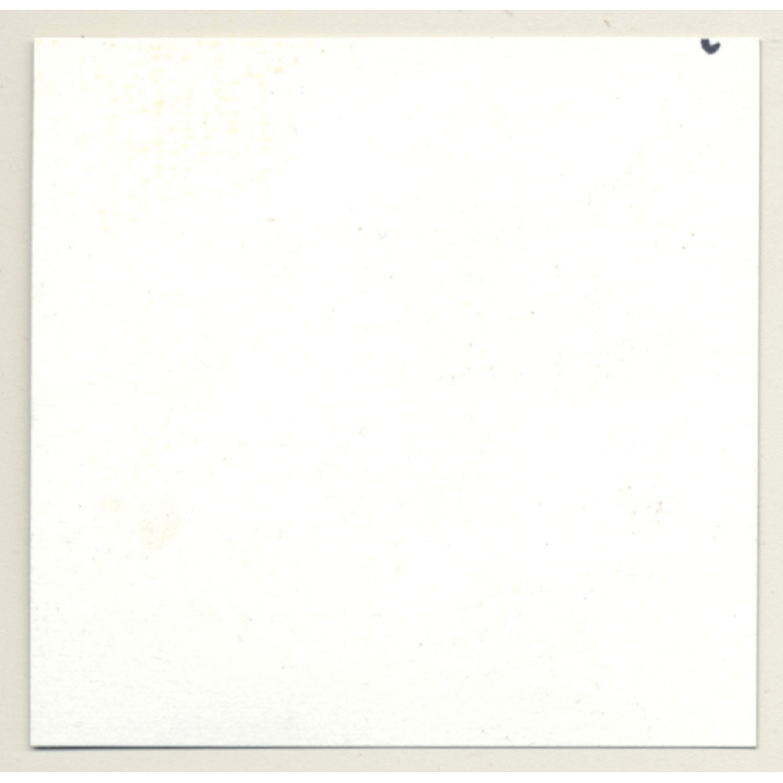 3 Lacquer Ladies In Hot Catfight *7 / Wrestling (Vintage Contact Sheet Photo 1970s)