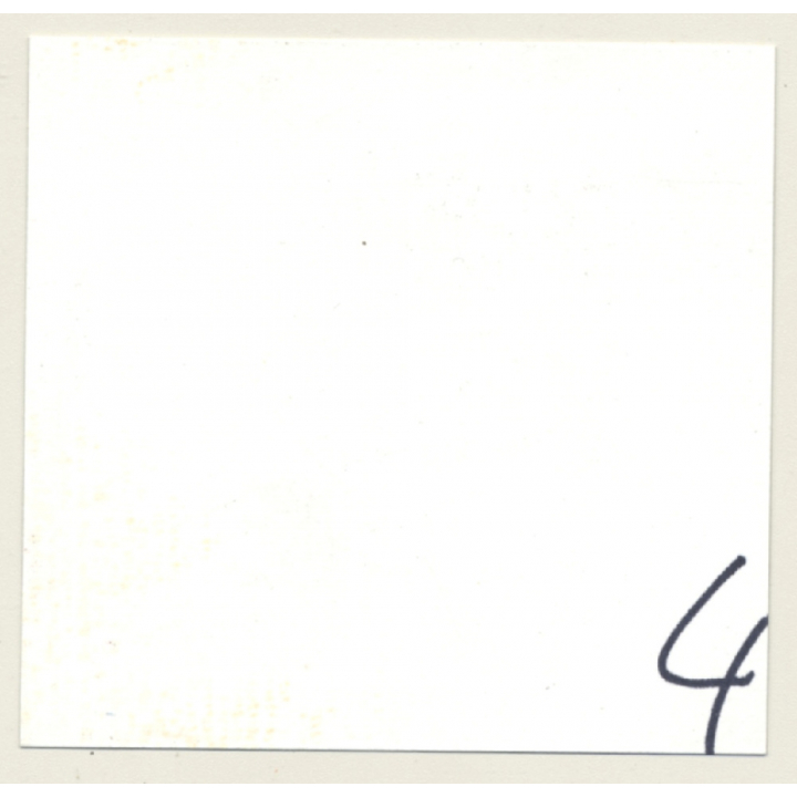 3 Lacquer Ladies In Hot Catfight *8 / Wrestling (Vintage Contact Sheet Photo 1970s)