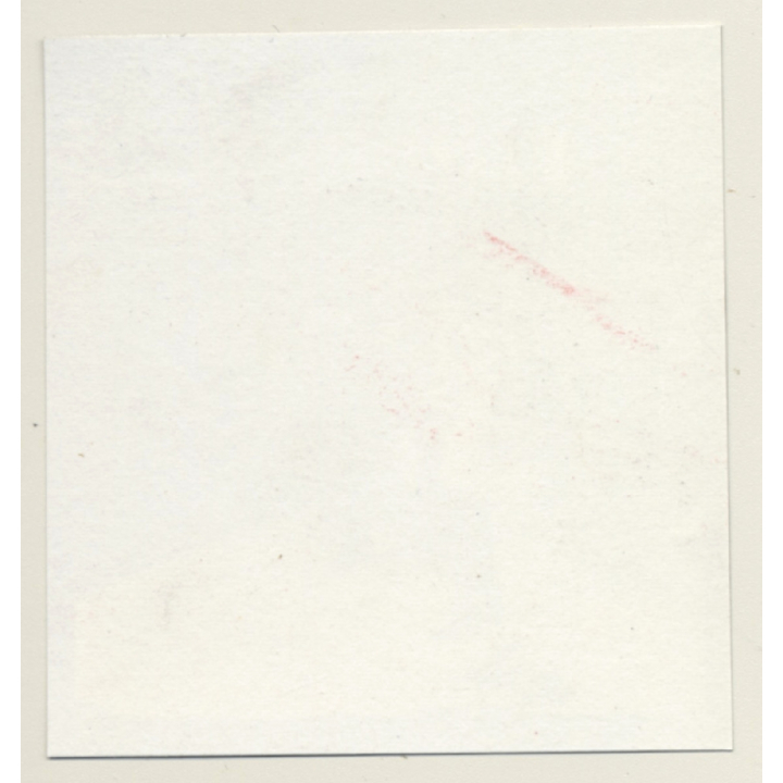 Semi Nude Blonde & Brunette In Hot Catfight*4 / Wrestling (Vintage Contact Sheet Photo 1970s)