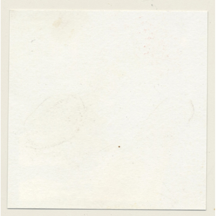 Semi Nude Blonde & Brunette In Hot Catfight*5 / Wrestling (Vintage Contact Sheet Photo 1970s)