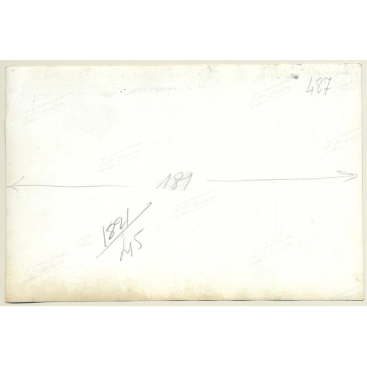 Mallorca Impressions: Finca Facade / Vines (Vintage Photo  ~1960s)