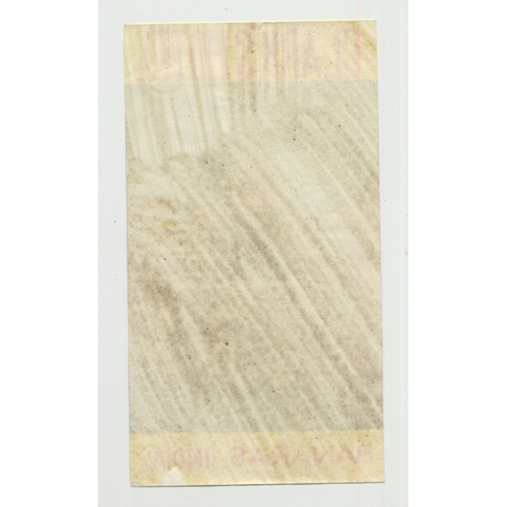 New Port Hotel - Kobe / Japan (Vintage Luggage Label)