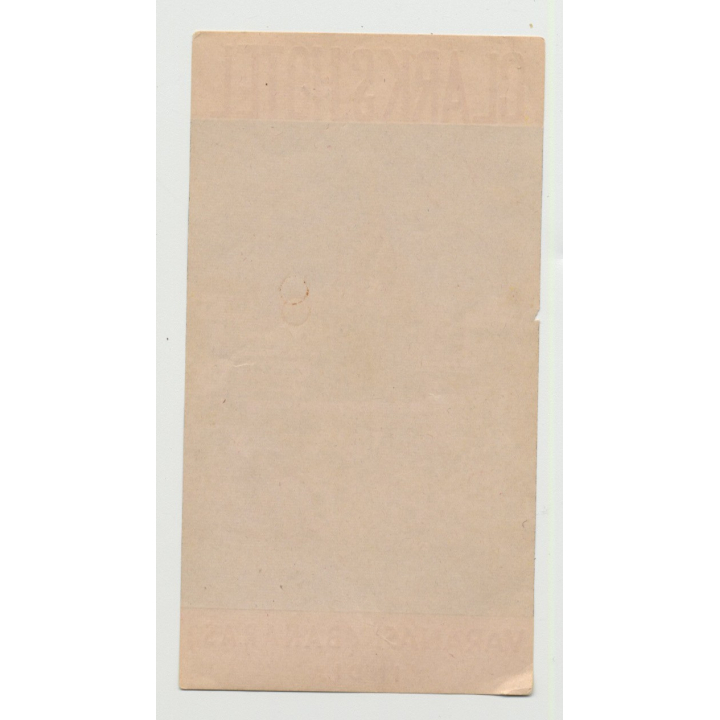 Clark's Hotel - Varanasi (Banaras) / India (Vintage Luggage Label)