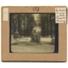 Bruxelles: Hommes De Neiges Au Parc / Snowmen (Vintage Glass Dia Positive 1894)