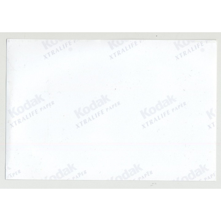 2 Nude Girlfriends Have Fun At Photo Shoot / Nude Art - Lesbian INT (Amateur Photo 90s)