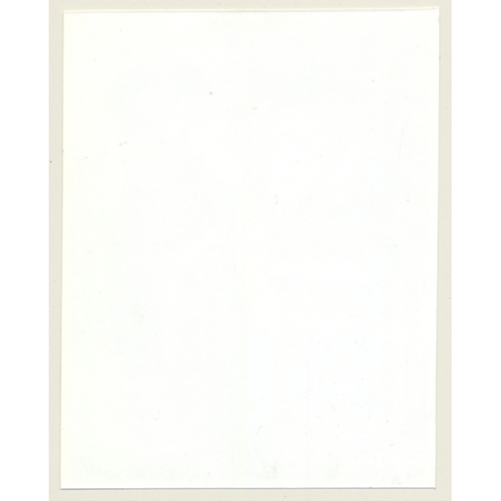 Irving Klaw: Leggy Maid Bends Over - Butt & Whip SHERI-67 / Pin-Up - BDSM (Vintage Photo USA)