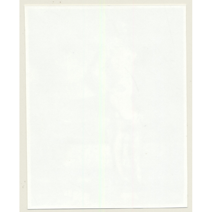 Irving Klaw: Beautiful Bettie Page In White Lingerie 5098 / Pin-Up - BDSM (Vintage Photo USA)