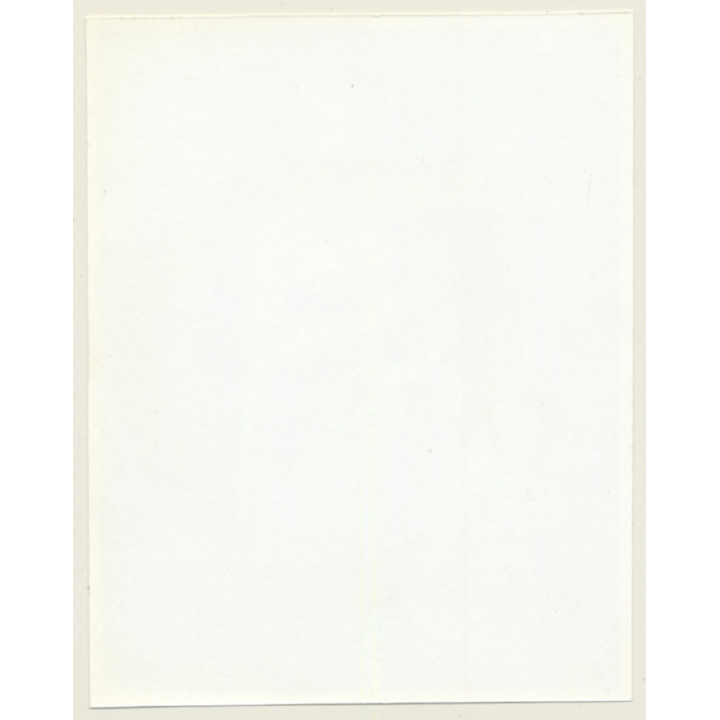 Irving Klaw: Busty Blonde Maid With Whip CECIL-32 / Pin-Up - BDSM (Vintage Photo USA)