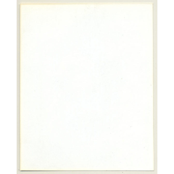 Irving Klaw: Bettie Page Spanking Maid Outdoors 6091 / Pin-Up - BDSM (Vintage Photo USA)