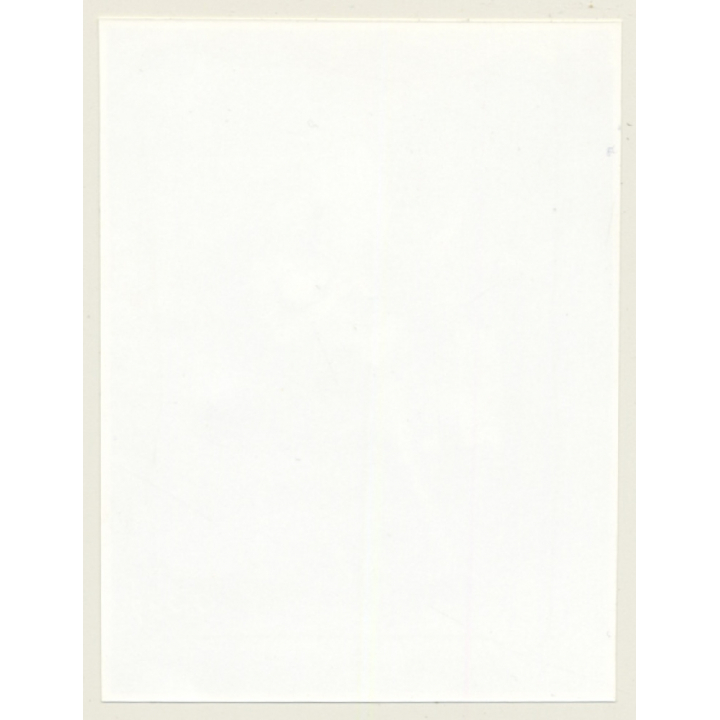 Irving Klaw: Bettie Page Puts On Stockings G-297 / Pin-Up - BDSM (Vintage Photo USA)