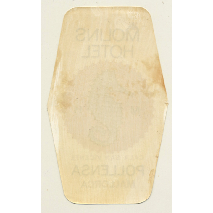 Pollensa / Mallorca: Molins Hotel (Vintage Luggage Label)