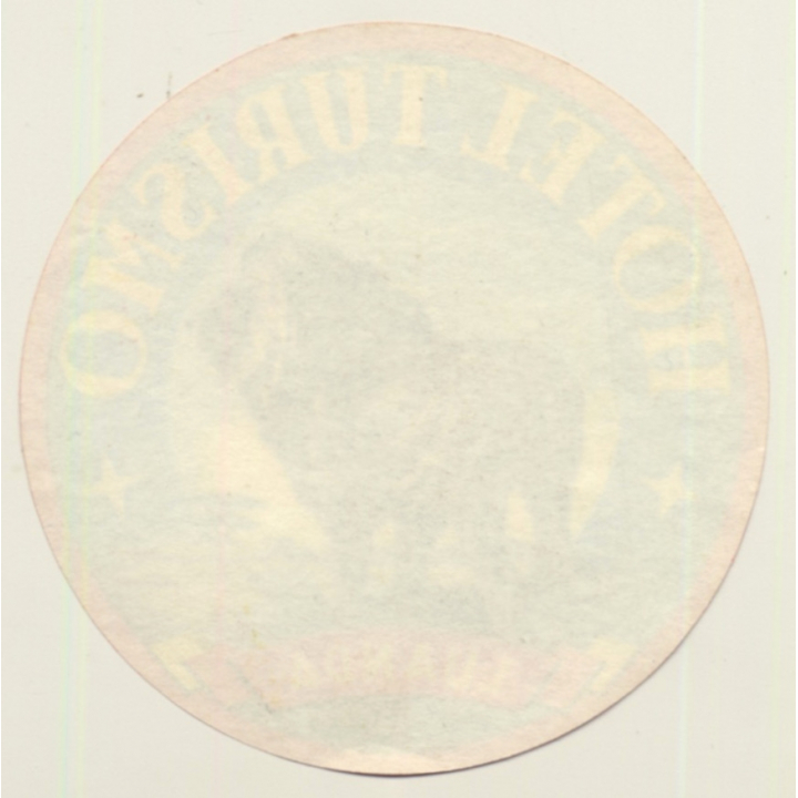 Luanda / Angola: Hotel Turismo - Lion (Vintage Luggage Label)