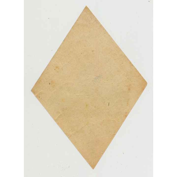 Nara Hotel - Nara Park / Japan (Vintage Luggage Label) DIamond Shape