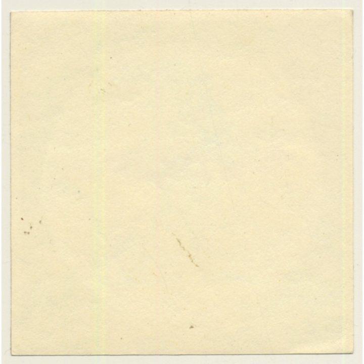 Semarang / Indonesia: Hotel Dibya (Vintage Self Adhesive Luggage Label / Sticker)