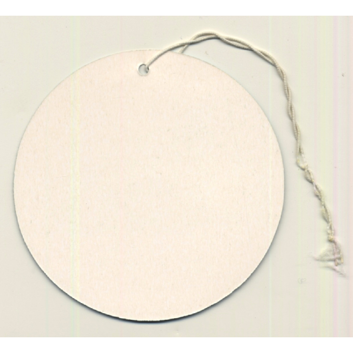 Hong Kong: Holiday Inn Harbour View*1 (Vintage Luggage Tag)