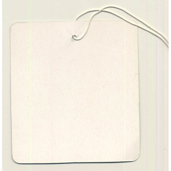 Hong Kong: Holiday Inn Harbour View*2 (Vintage Luggage Tag)