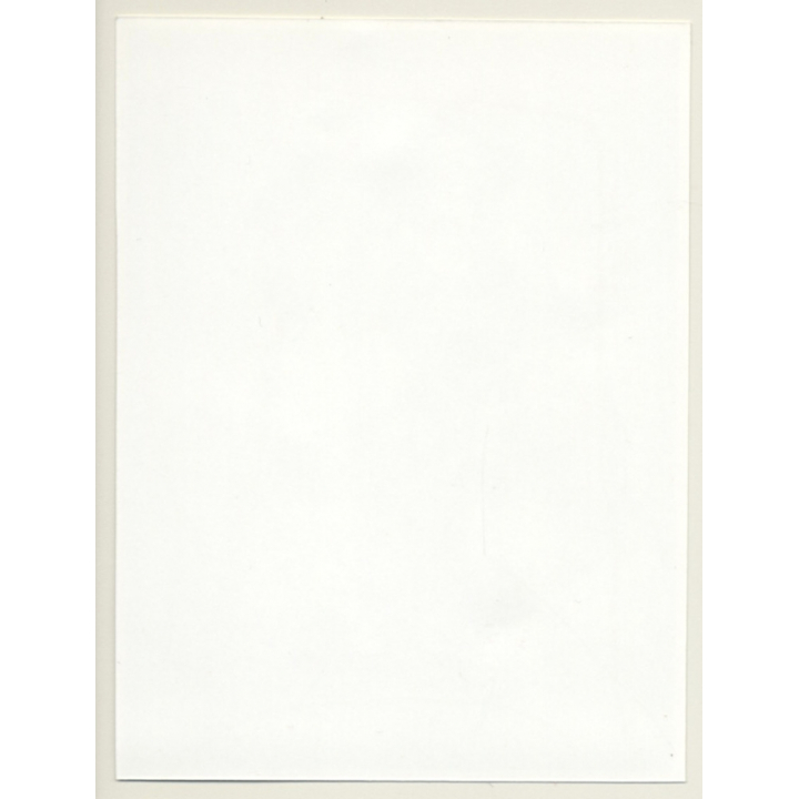 Irving Klaw: Pretty Bettie Page In Black Lingerie 2626 / Pin-Up - BDSM (Vintage Photo USA)