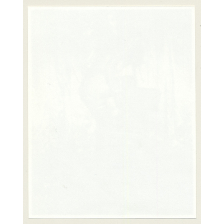 Irving Klaw: Bettie Page In Black Nylons Checks Garter 3439 / Pin-Up - BDSM (Vintage Photo USA)