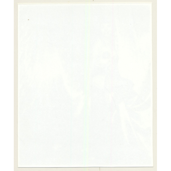 Irving Klaw: Bettie Page Plays With Curtain P-524 / Pin-Up - BDSM (Vintage Photo USA)