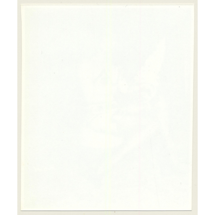 Irving Klaw: Happy Bettie Page & Clown Doll P-541 / Pin-Up - BDSM (Vintage Photo USA)