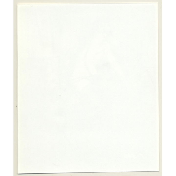 Irving Klaw: Bettie Page Dances For Clown Doll P-545 / Pin-Up - BDSM (Vintage Photo USA)