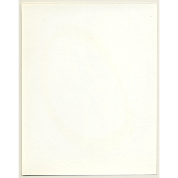 Irving Klaw: Shorthaired Mistress Closes Suspenders SHERI-13 / Pin-Up - BDSM (Vintage Photo USA)