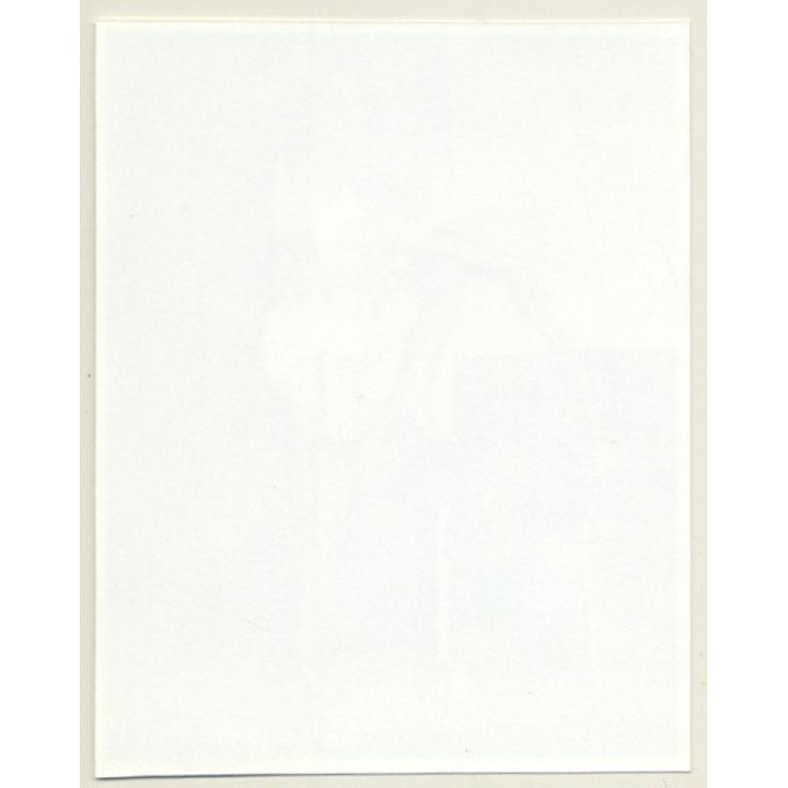 Irving Klaw: Mistress With Whip TONI ADAMS-44 / Pin-Up - BDSM (Vintage Photo USA)