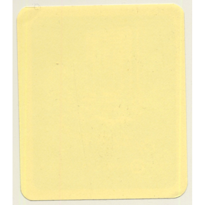 Jakarta / Indonesia: Hyatt Aryaduta Hotel (Vintage Self Adhesive Luggage Label / Sticker)