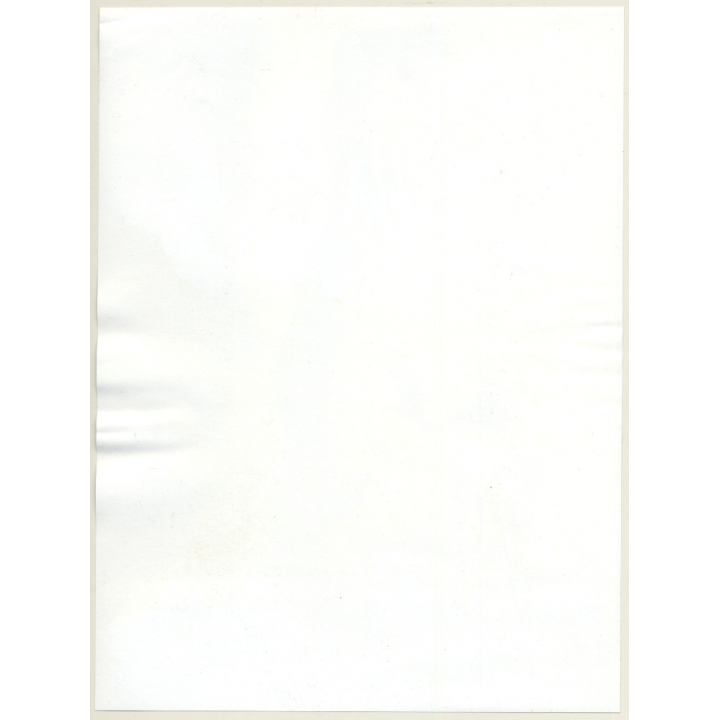 Jerri Bram (1942): Slim Female On Wooden Parquet / Artistic Nude (Vintage Photo ~1970s)