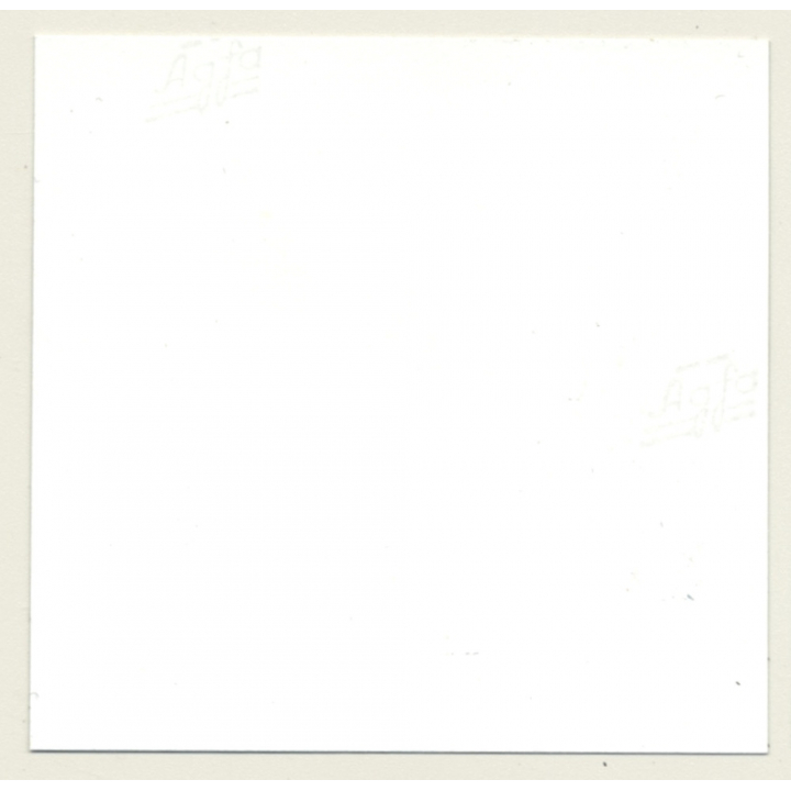 2 Mistresses & Masked Latex Master Tie Semi Nude Maid*2 / BDSM (Vintage Contact Sheet Photo 1970s)