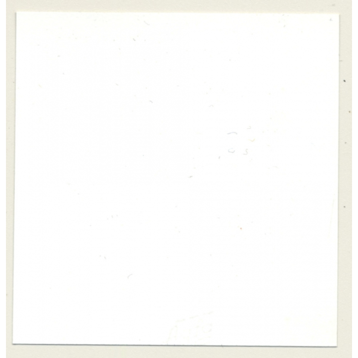 2 Mistresses & Masked Latex Master Tie Semi Nude Maid*7 / BDSM (Vintage Contact Sheet Photo 1970s)