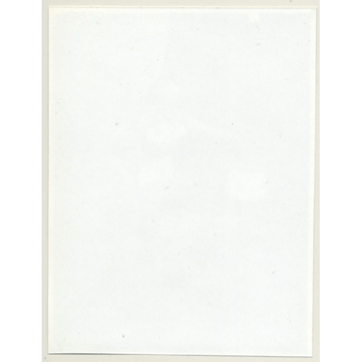 Irving Klaw: Bettie Page In White Lingerie 5099 / Pin-Up - BDSM (Vintage Photo USA)