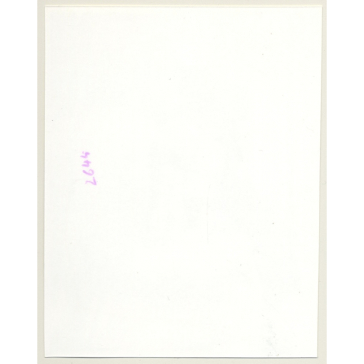 Irving Klaw: Bettie Page In Black Lingerie & Gown 2644  / Pin-Up - BDSM (Vintage Photo USA)