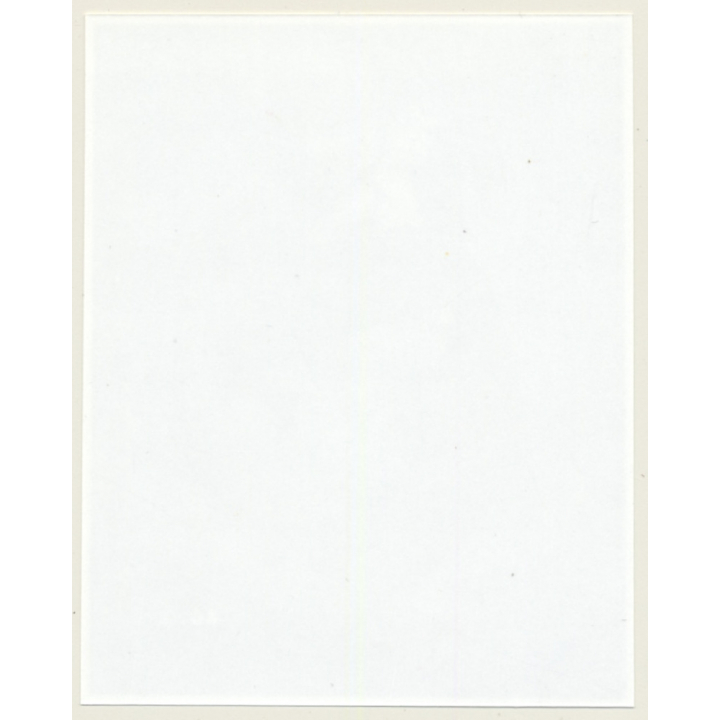 Irving Klaw: Bettie Page In Black Lingerie & Gown 2652 / Pin-Up - BDSM (Vintage Photo USA)