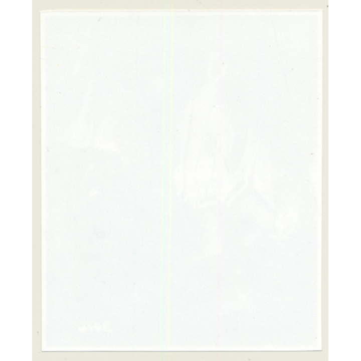 Irving Klaw: Bettie Page Dancing Wild 3416 / Pin-Up - BDSM (Vintage Photo USA)