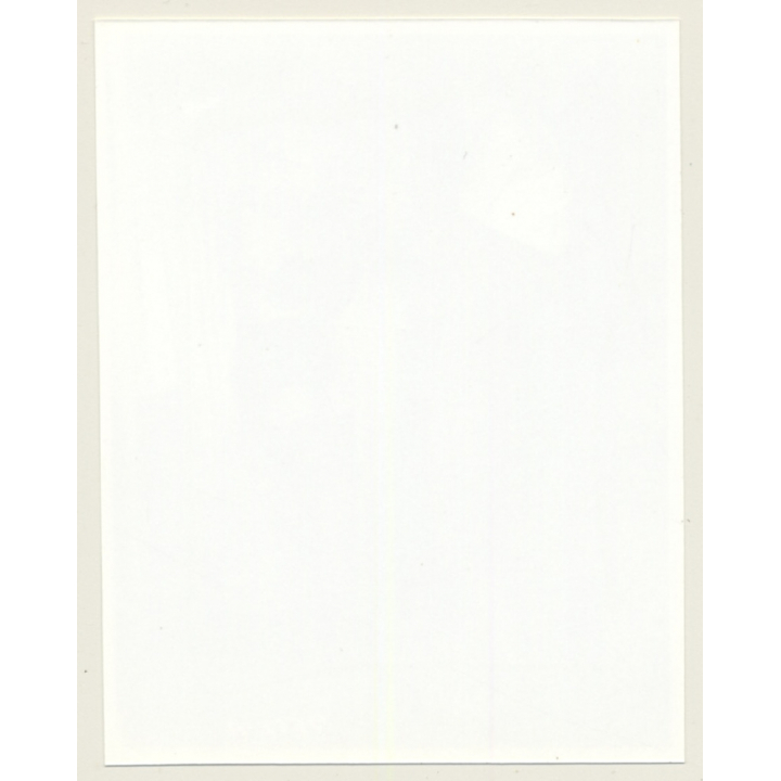 Irving Klaw: 2 Semi Nude Maids Catfighting 9512-A / Pin-Up - BDSM (Vintage Photo USA)