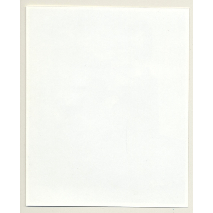 Irving Klaw: Bettie Page In Bikini - Whip C-467 / Pin-Up - BDSM (Vintage Photo USA)