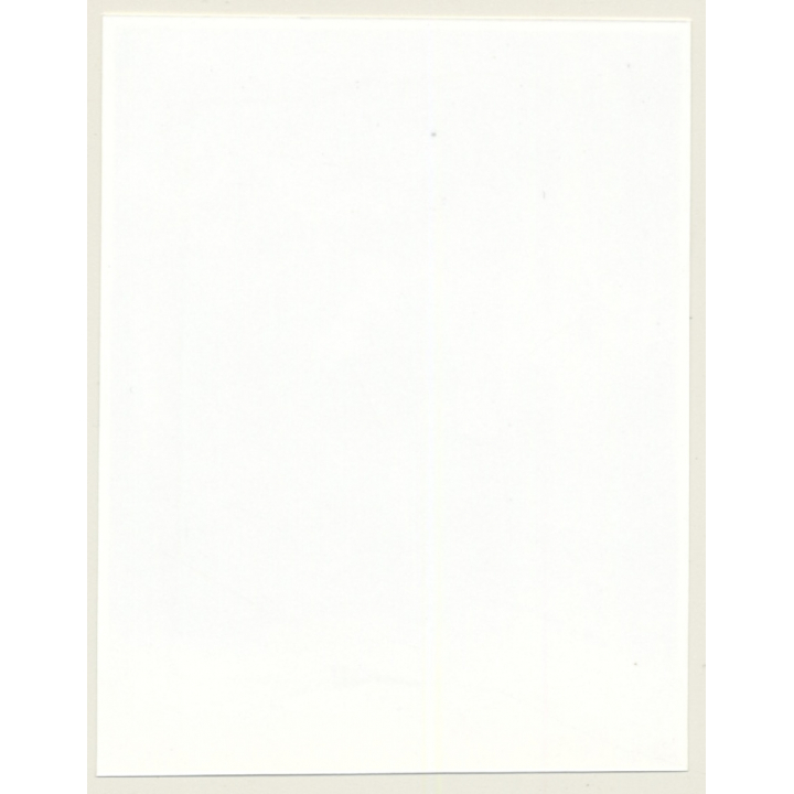 Irving Klaw: Bettie Page In Bikini - Whip C-473 / Pin-Up - BDSM (Vintage Photo USA)