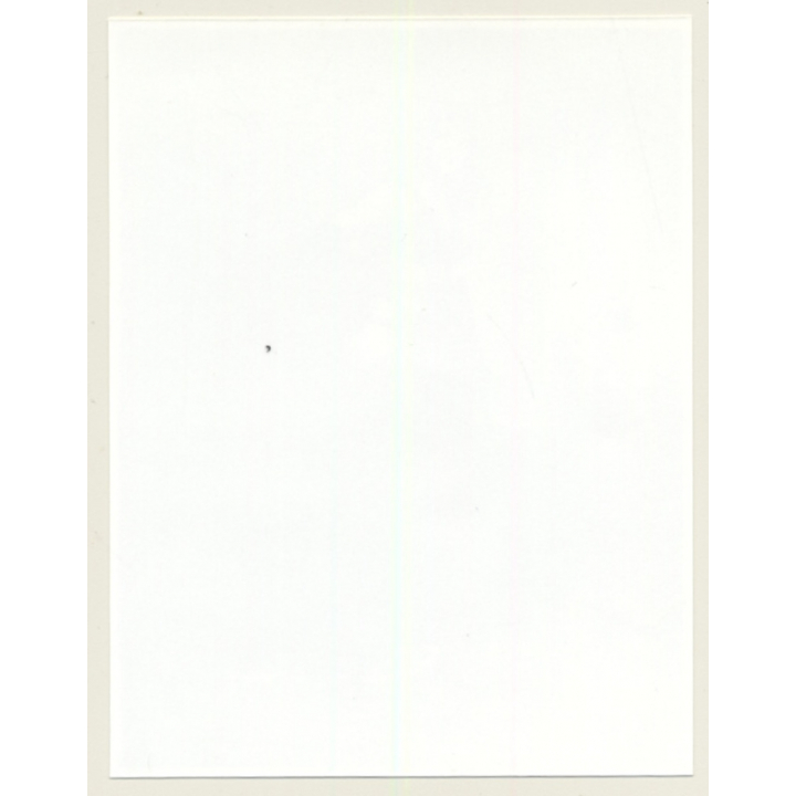 Irving Klaw: Bettie Page With Whip C-469 / Pin-Up - BDSM (Vintage Photo USA)