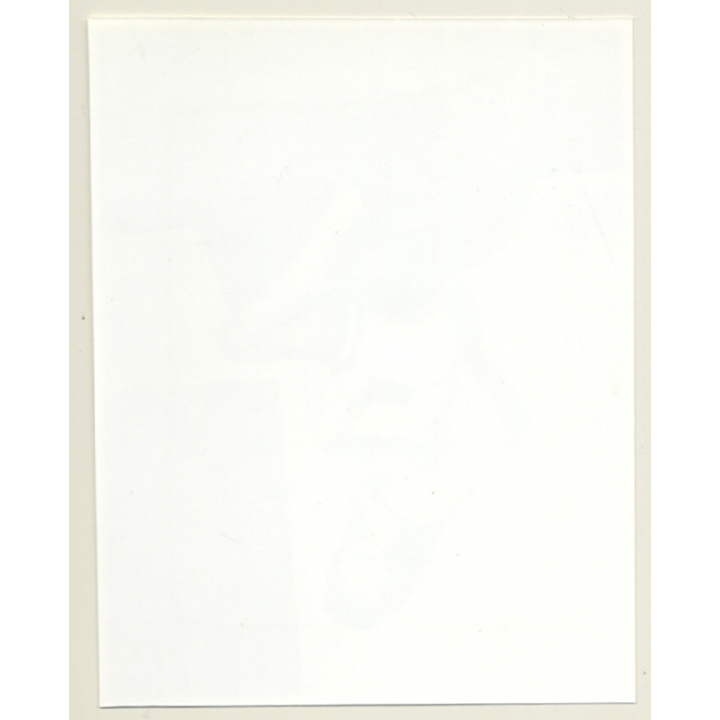 Irving Klaw: Stunning Bettie Page Teases Camera E-974 / Pin-Up - BDSM (Vintage Photo USA)