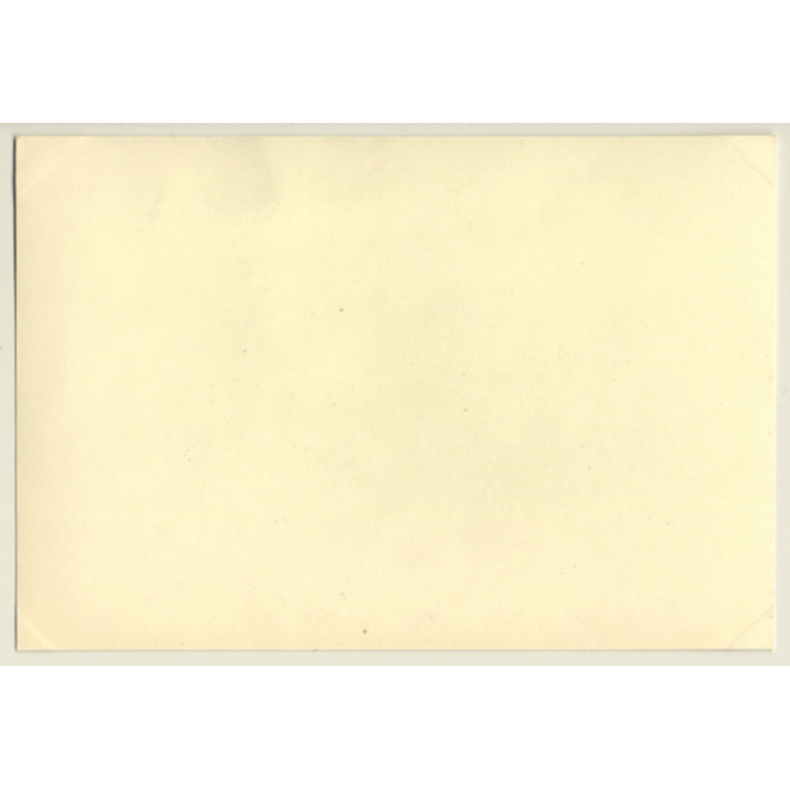 Tour De France 1964: N°23 N°19 N°31 Austin Mini Cooper S (Vintage Photo)