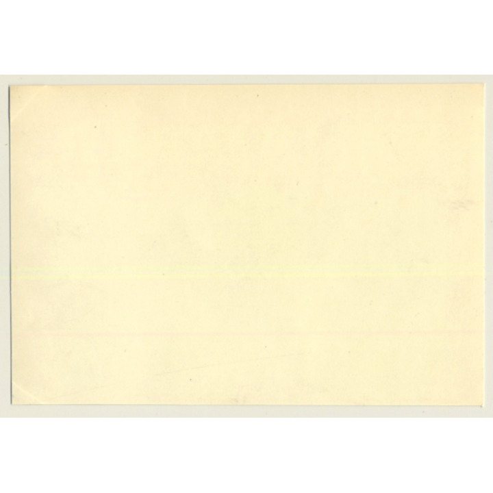 Tour De France 1964: N°23 Austin Mini Coopers On Circuit (Vintage Photo)