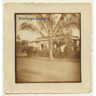 Congo Belge: Pharmacie Socophar (Vintage Photo ~ 1920s/1930s)