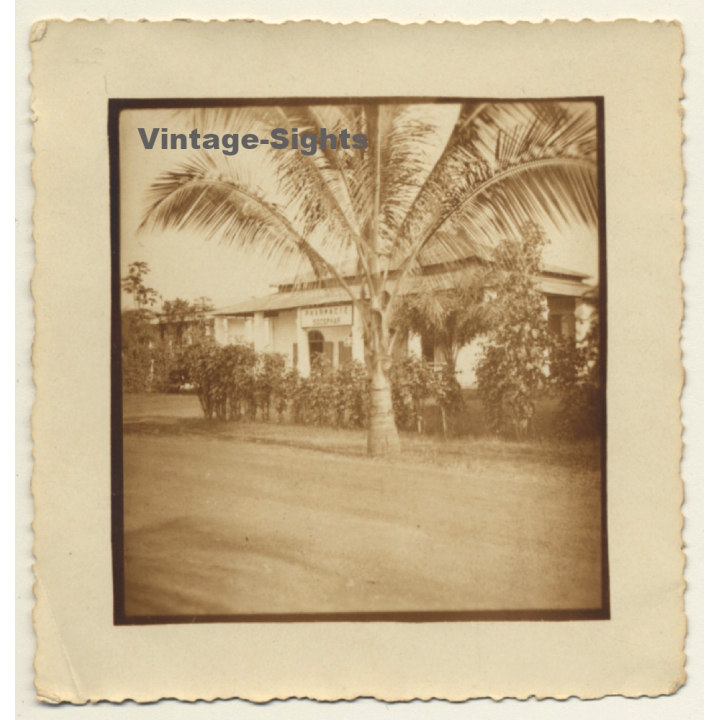 Congo Belge: Pharmacie Socophar (Vintage Photo ~ 1920s/1930s)