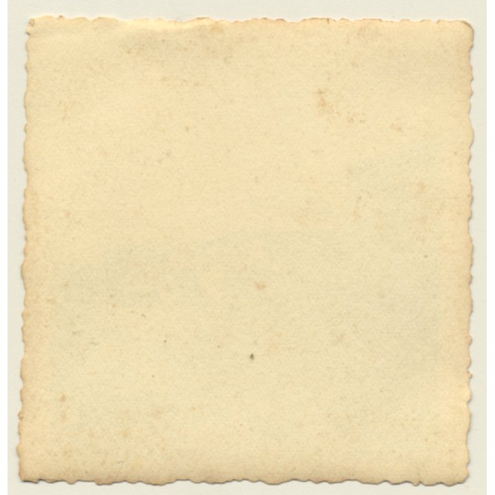 Congo: Native Wind Players / Orchestra - Horns (Vintage Photo ~ 1920s/1930s)