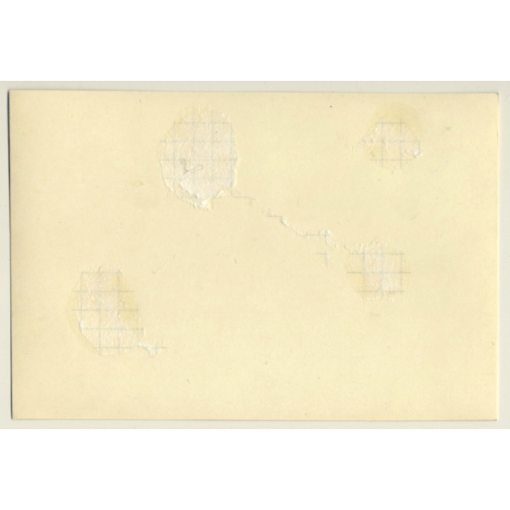 Rallye Du Limousin 1964: Chevrolet Corvette Cabrio*1 (Vintage Photo)