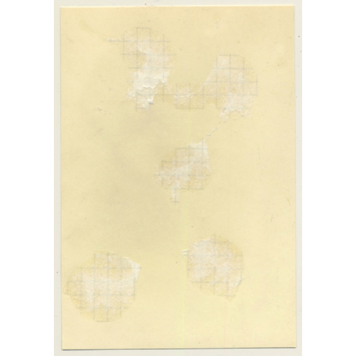 Rallye Du Limousin 1964: Chevrolet Corvette Cabrio*2 (Vintage Photo)