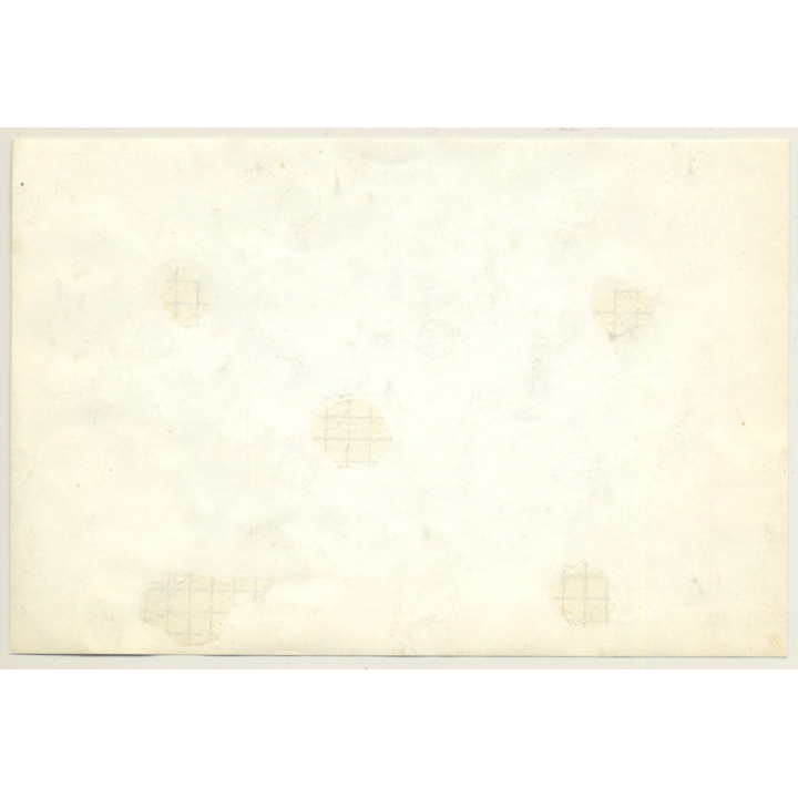 Rallye Du Limousin 1964: Alpine Renault / Front View (Vintage Photo)