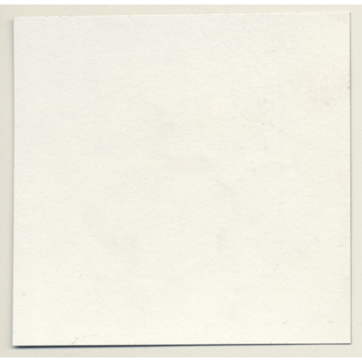 Mistress & Blonde Maid In Bondage*2 / Catfight - BDSM (Vintage Contact Sheet Photo 1970s)