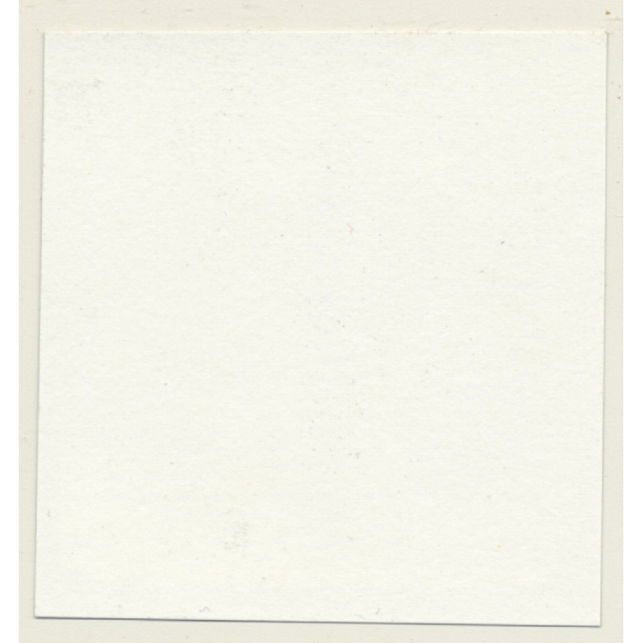 Mistress & Blonde Maid In Bondage*5 / Catfight - BDSM (Vintage Contact Sheet Photo 1970s)